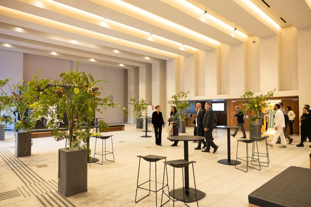 Vestíbulo Planta -3